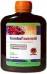 Kombuflavonoid antioxidantov koncentrát 250ml
