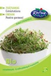 Réde - Semená šalvie 30g